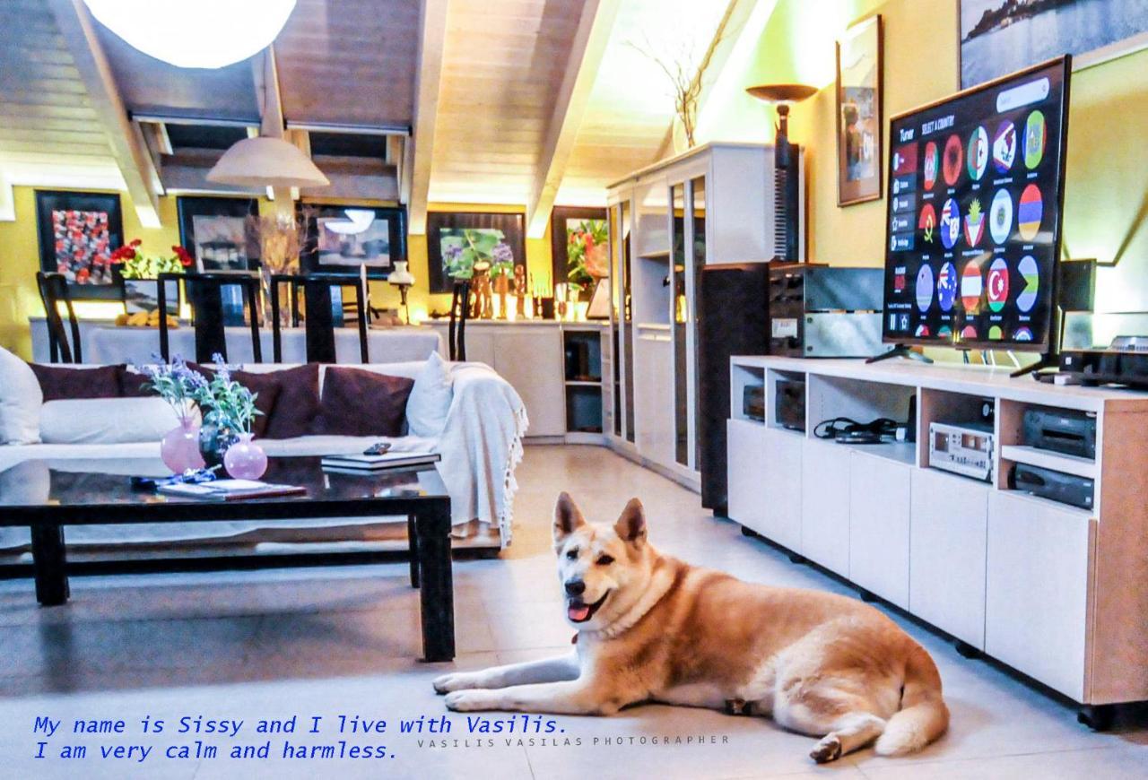 B&B In Corfu Town 外观 照片